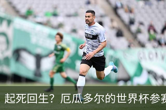 起死回生？厄瓜多尔的世界杯参赛名额可能给意大利